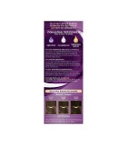 Schwarzkopf Palette Intensive Color Creme 5.1 Καστανό Ανοιχτό Σαντρέ 50ml Υγεία & Ομορφιά